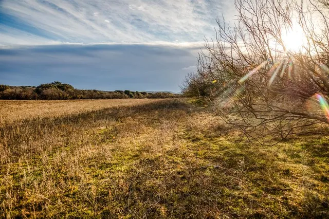 a view of outdoor space and city view
