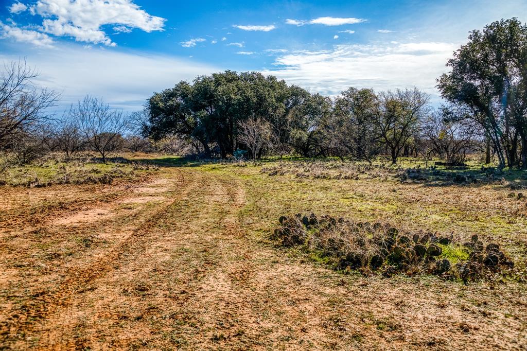 Tbd Reeves Road Graham, TX 76450 - Photo 32 of 40 a view of a yard with trees