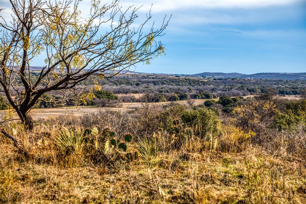 Tbd Reeves Road Graham, TX 76450 - Photo 35 of 40 a view of a large tree with green field
