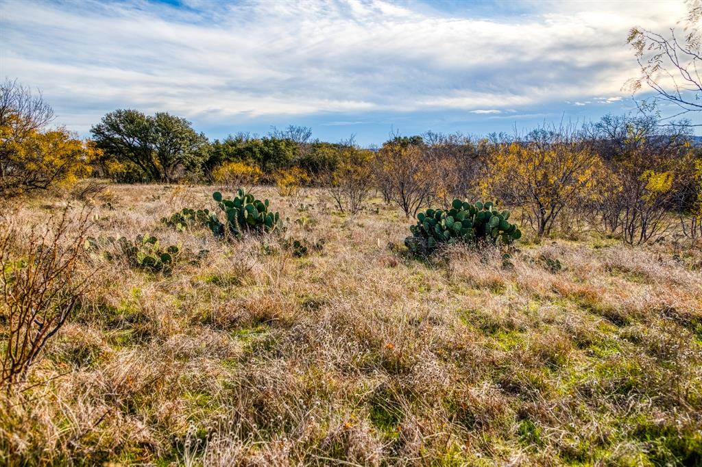 Tbd Reeves Road Graham, TX 76450 - Photo 4 of 40