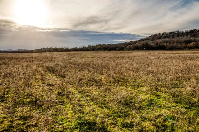 a view of a forest with trees