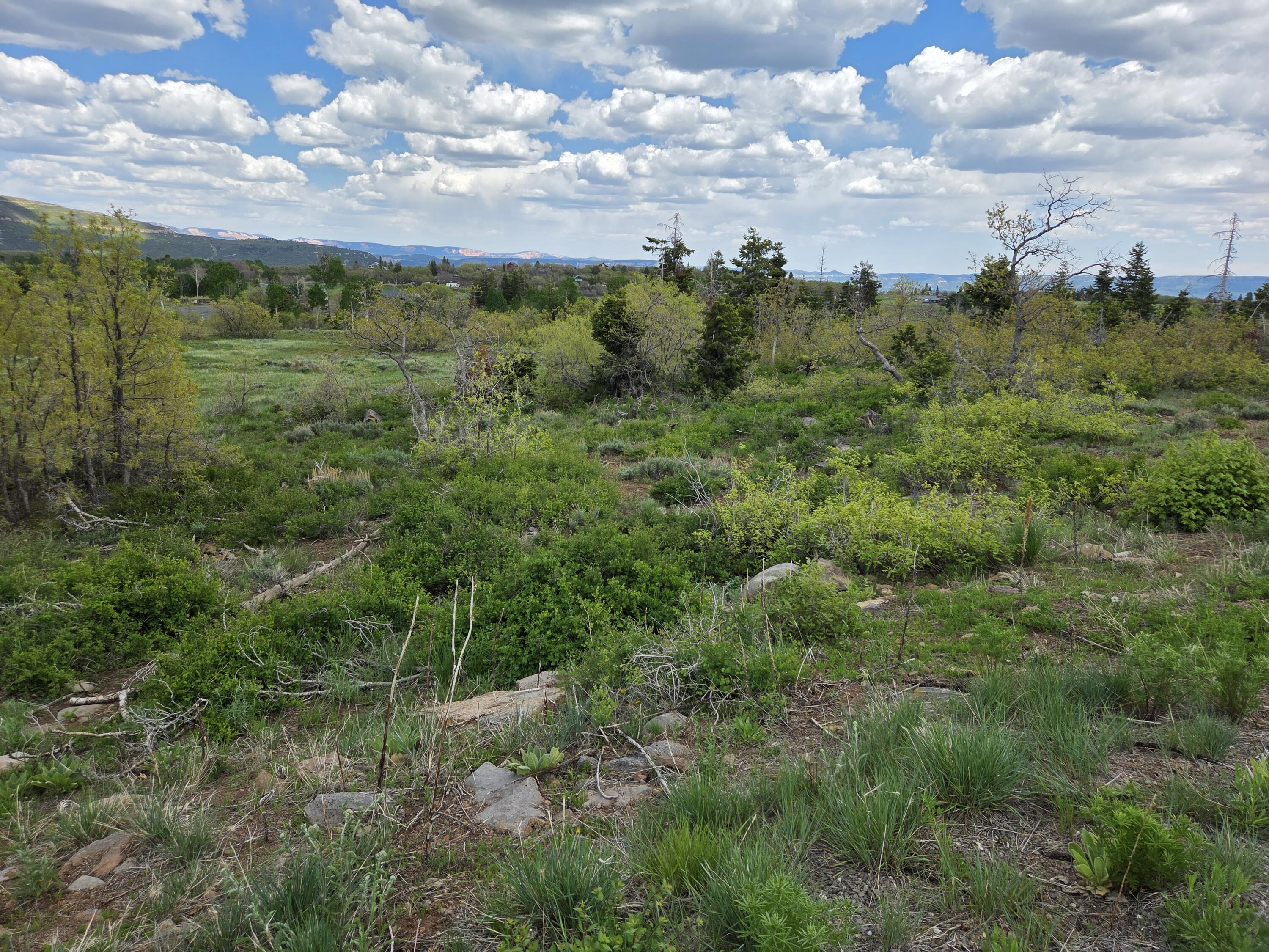 Lot 10 Spring Drive, Unit 10 Springdale, UT 84767 - Photo 17 of 18 1000006211