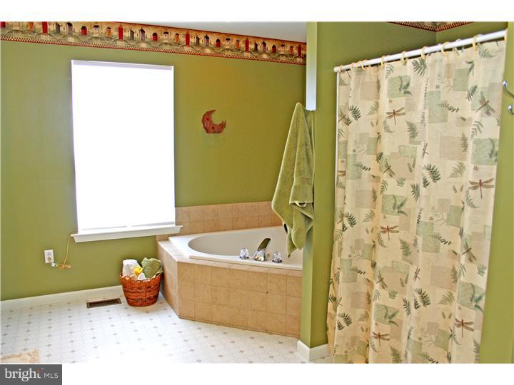 220 North Sandy Lane Sinking Spring, PA 19608 - Photo 14 of 25 Master Bathroom