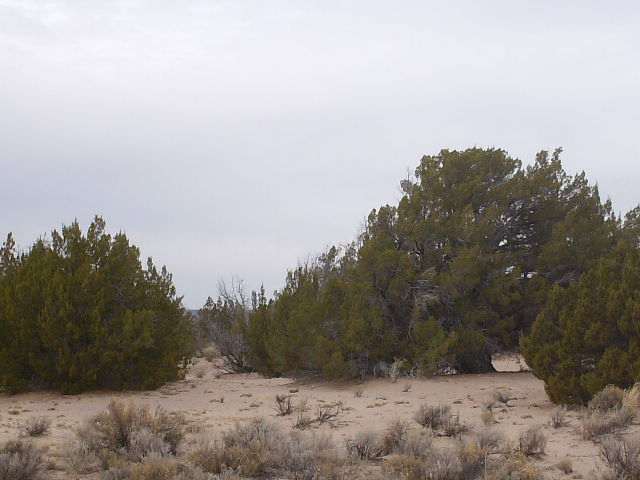 6 Witch Wells Ranch St. Johns, AZ 85936 - Photo 2 of 5