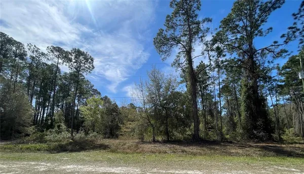 $20,000 | 103 Rosewood Street, Georgetown, FL 32139