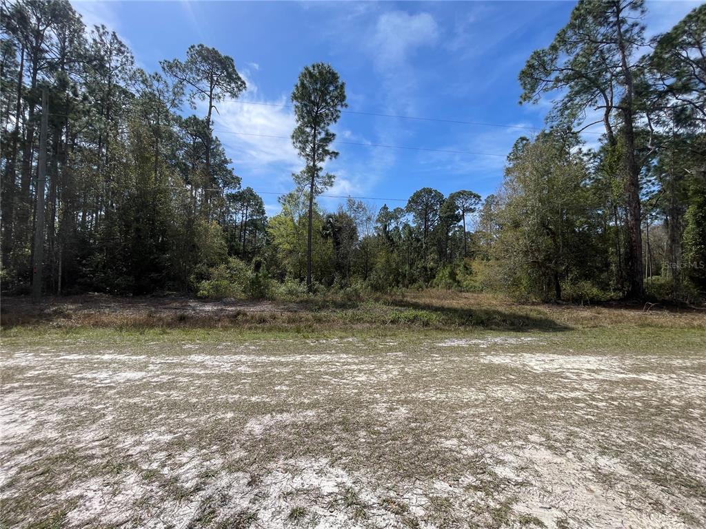 103 Rosewood Street Georgetown, FL 32139 - Photo 3 of 7