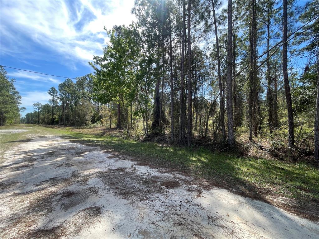 103 Rosewood Street Georgetown, FL 32139 - Photo 5 of 7