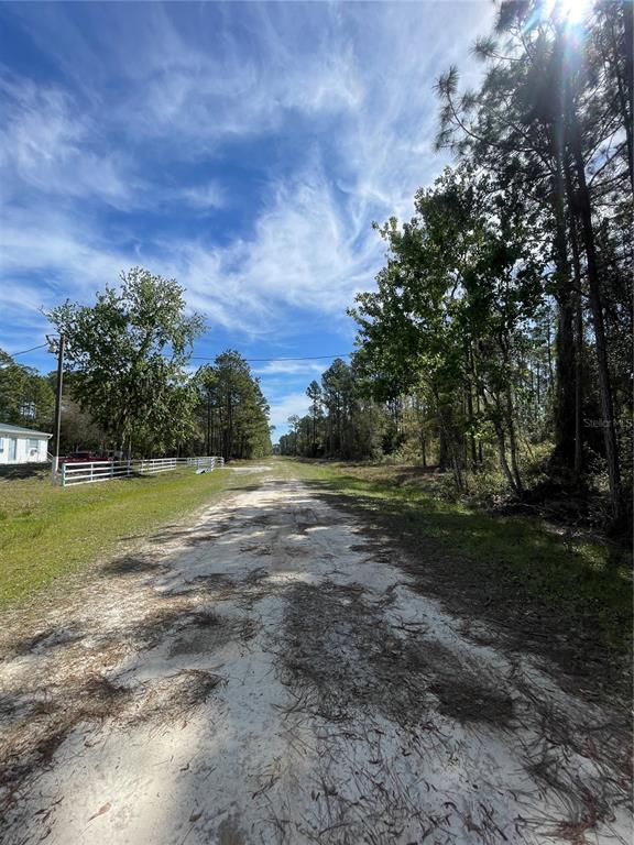 103 Rosewood Street Georgetown, FL 32139 - Photo 6 of 7