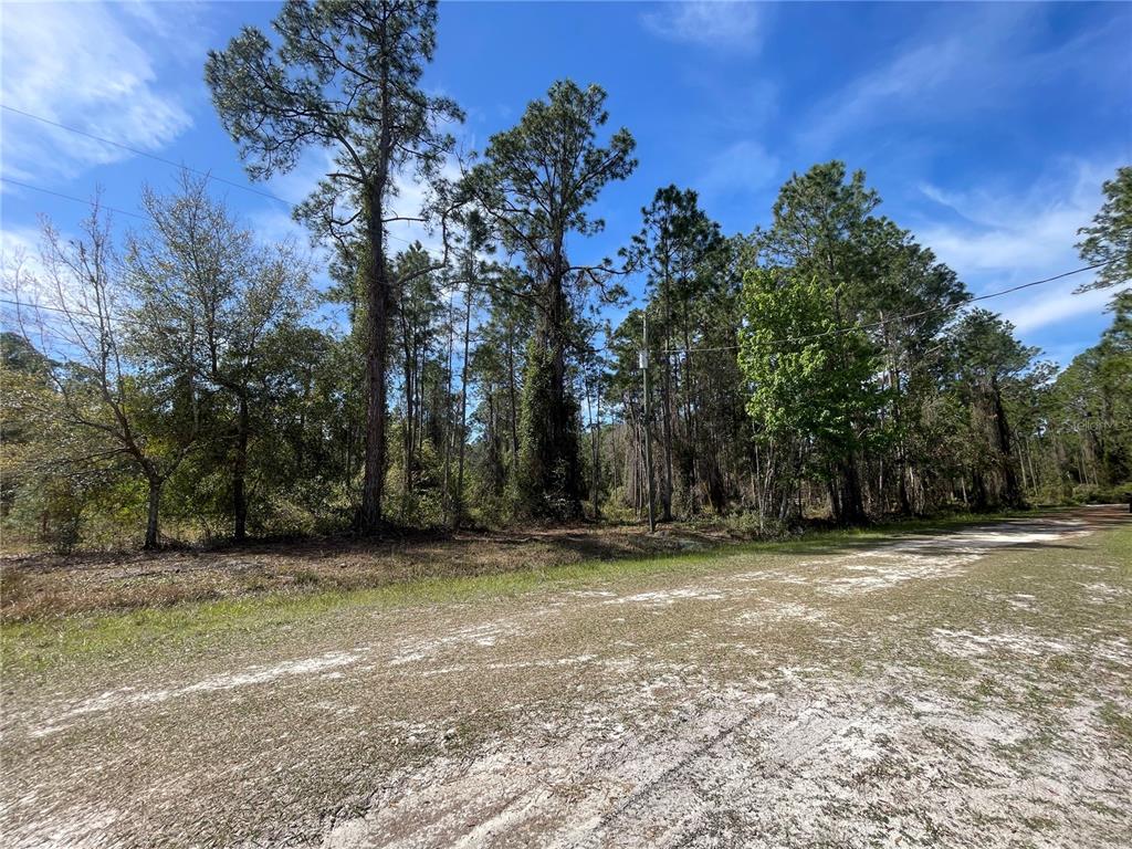 103 Rosewood Street Georgetown, FL 32139 - Photo 7 of 7