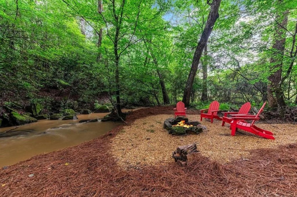 390 Twin Creeks Blue Ridge, GA 30513 - Photo 3 of 56