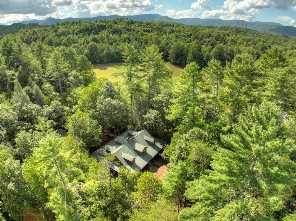 390 Twin Creeks Blue Ridge, GA 30513 - Photo 54 of 56