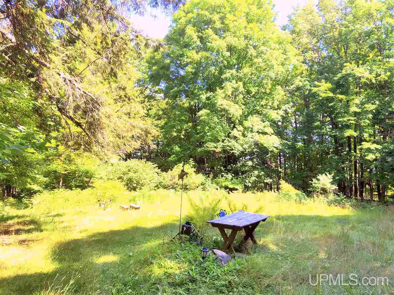 9 Road Trail Felch, MI 49831 - Photo 40 of 42