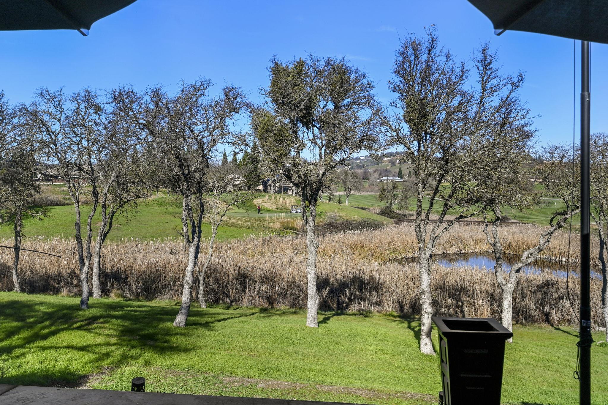 352 Mitchell Lake Lane Copperopolis, CA 95228 - Photo 11 of 47