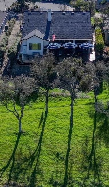 352 Mitchell Lake Lane Copperopolis, CA 95228 - Photo 38 of 47