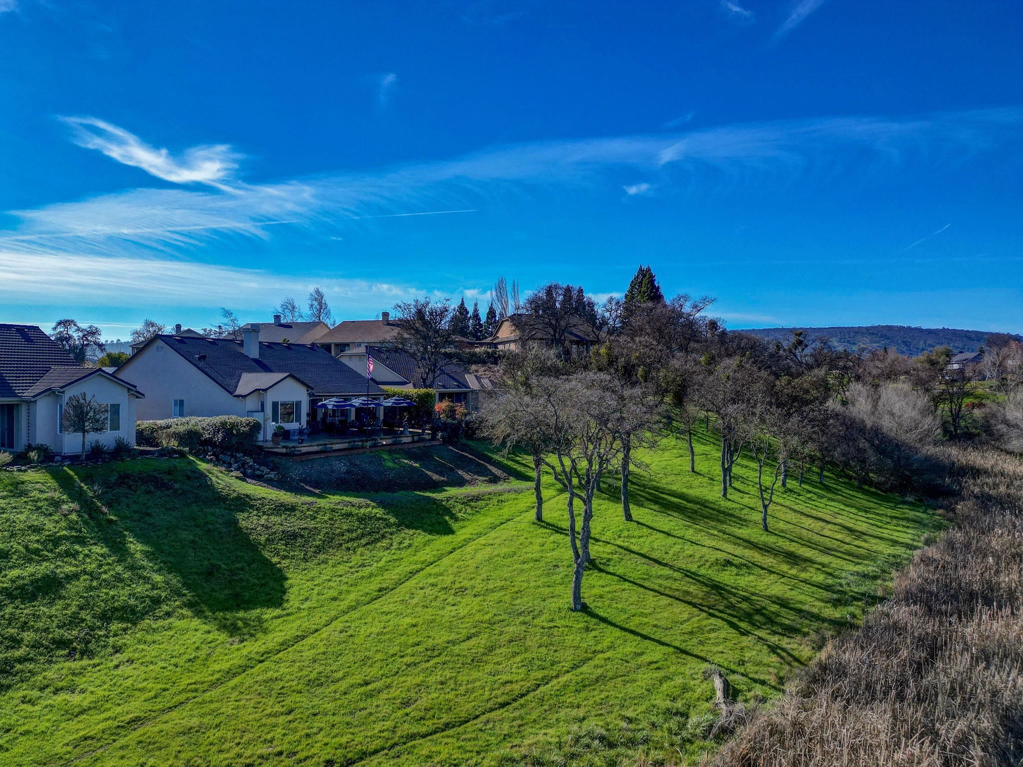 352 Mitchell Lake Lane Copperopolis, CA 95228 - Photo 7 of 47