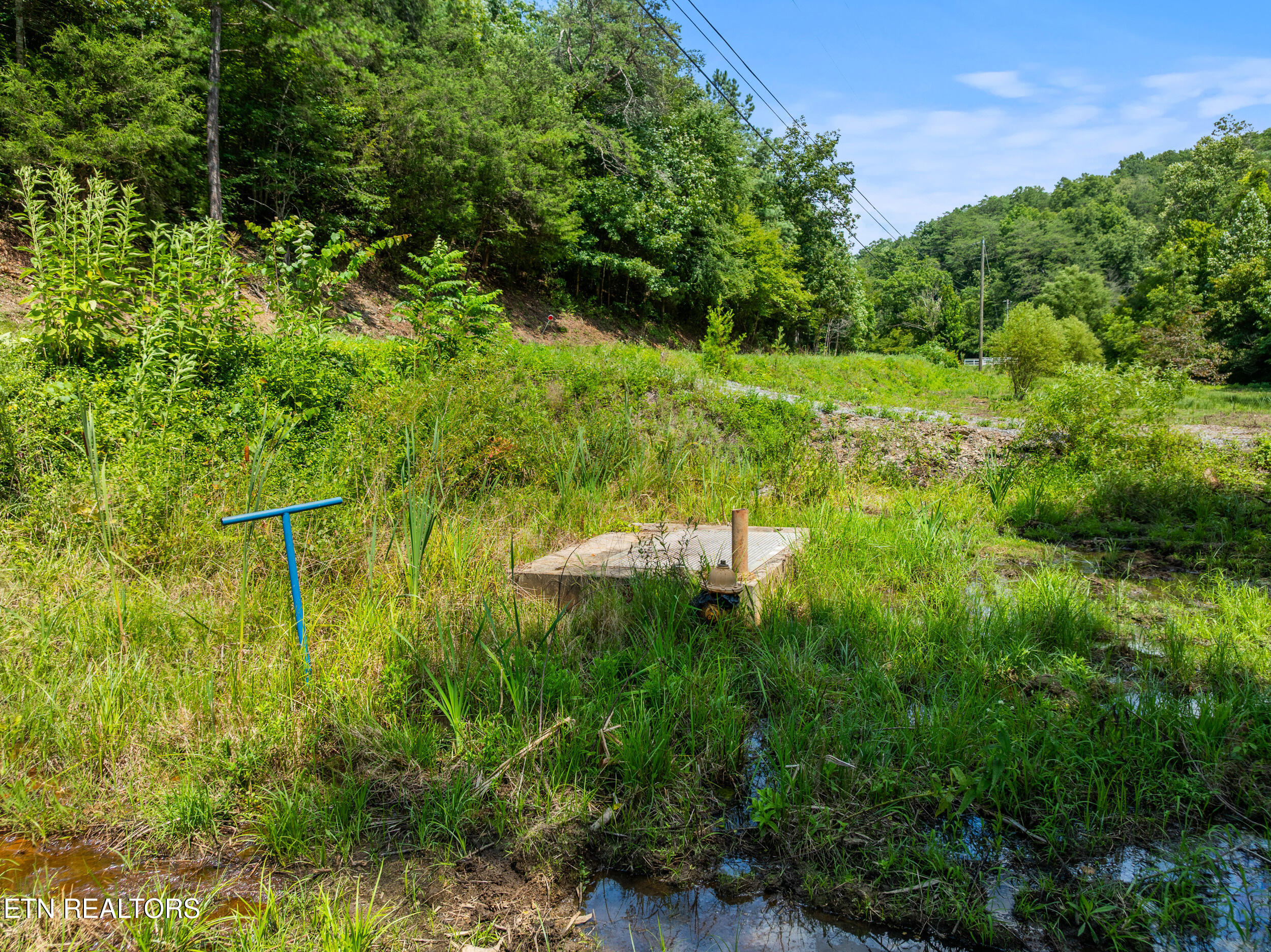 Cove Road Sevierville, TN 37876 - Photo 11 of 11 jones cove lot-11