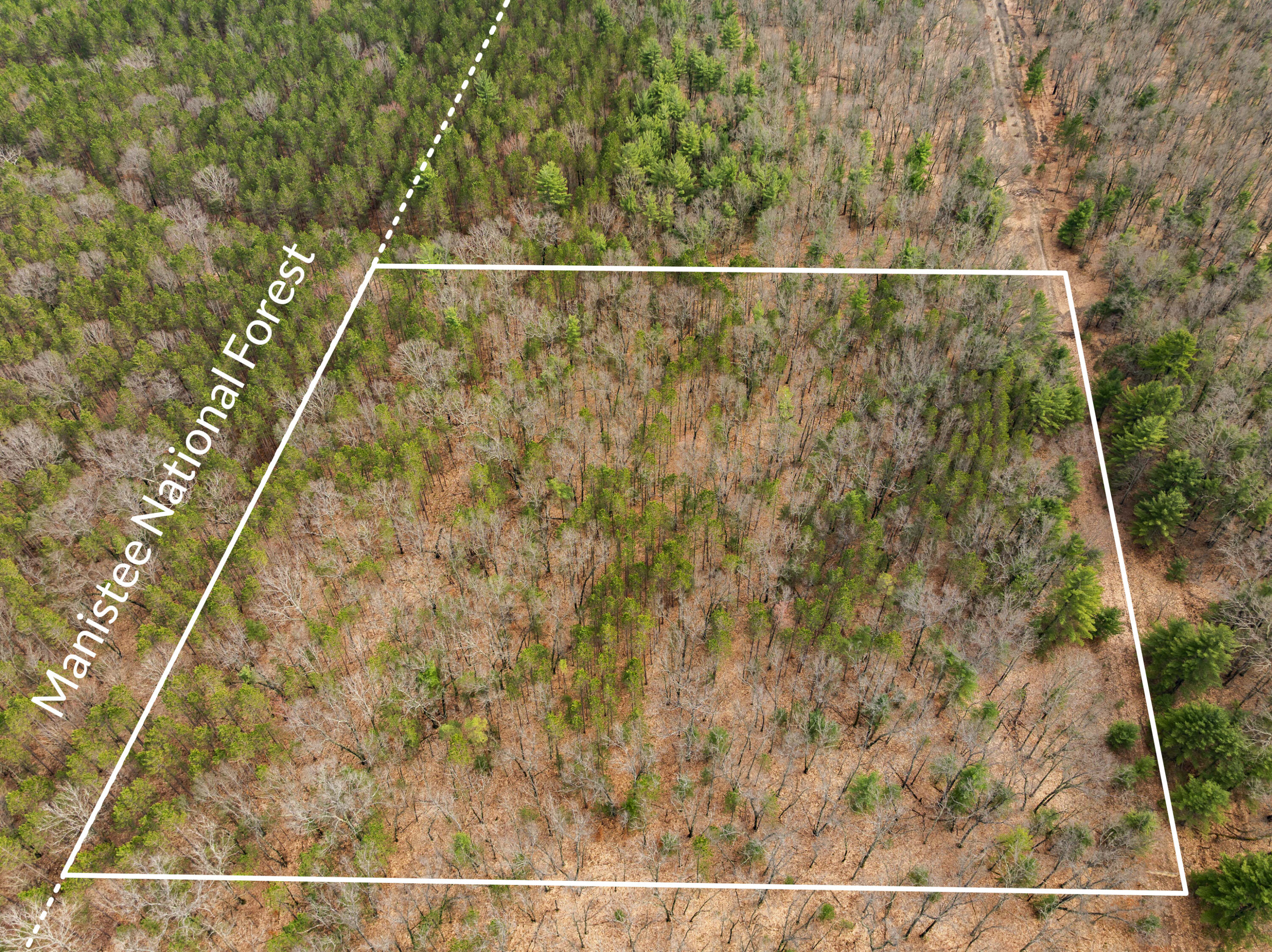 Maple Avenue Brethren, MI 49619 - Photo 3 of 11 DJI_20260416171746_0045_D