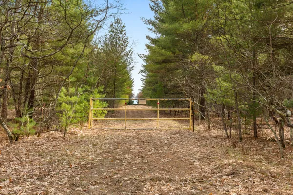 $60,000 | Maple Avenue, Brethren, MI 49619