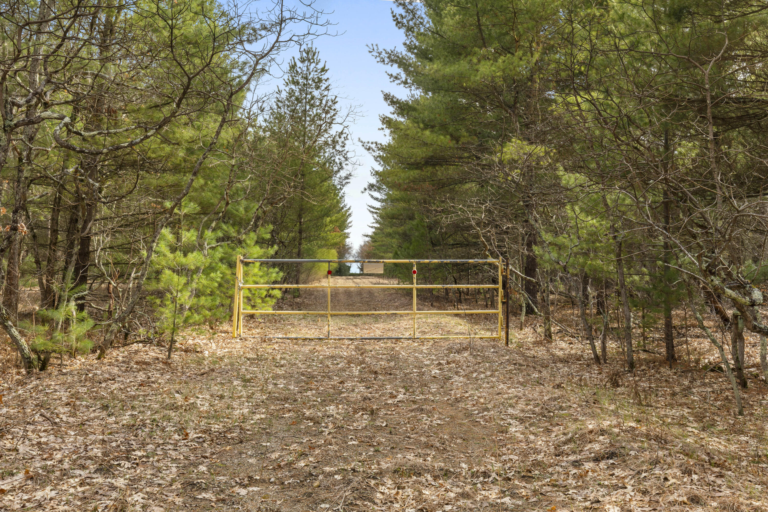 Maple Avenue Brethren, MI 49619 - Photo 5 of 11 0S5A5189