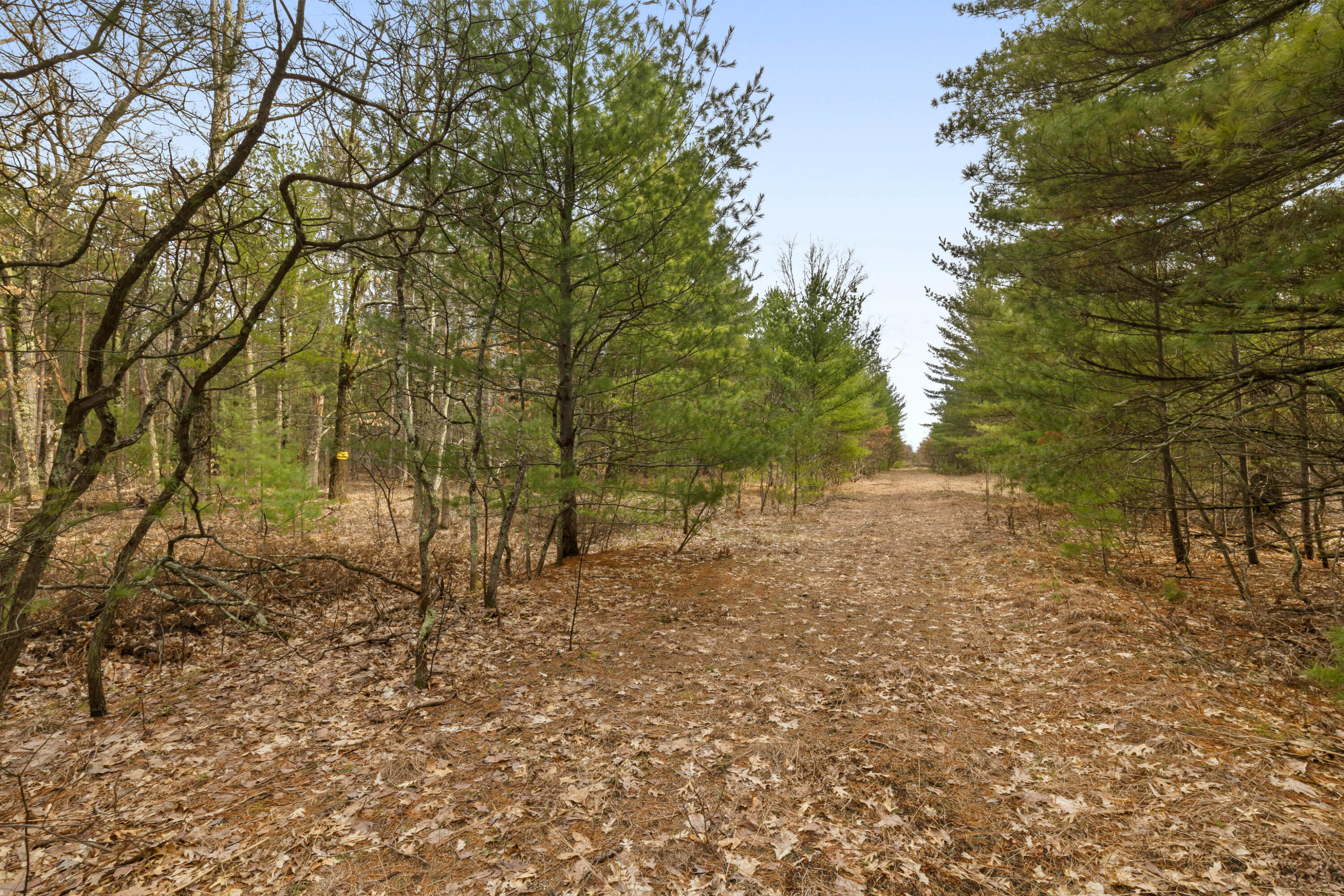 Maple Avenue Brethren, MI 49619 - Photo 6 of 11 0S5A5199