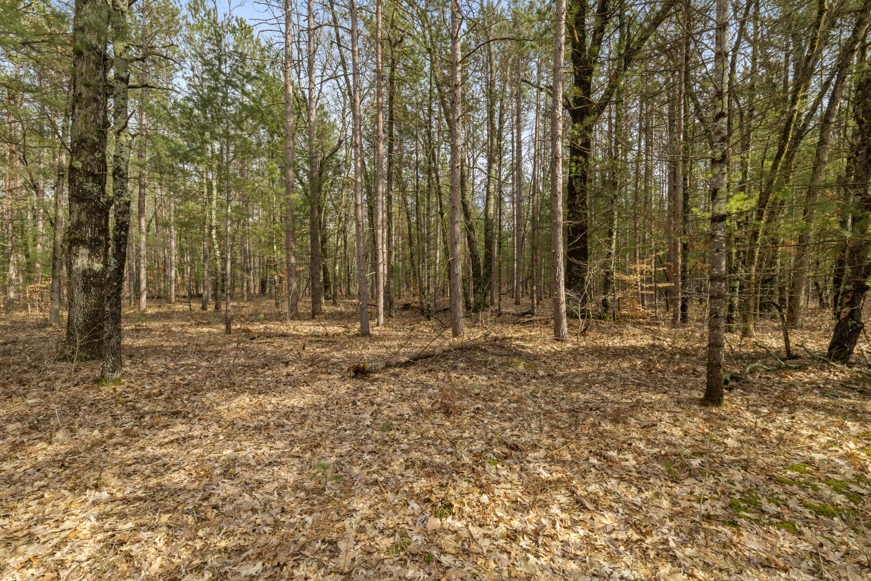 Maple Avenue Brethren, MI 49619 - Photo 7 of 11 0S5A5204