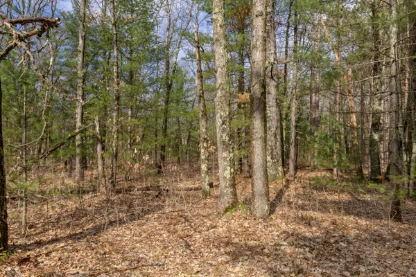 $60,000 | Maple Avenue, Brethren, MI 49619