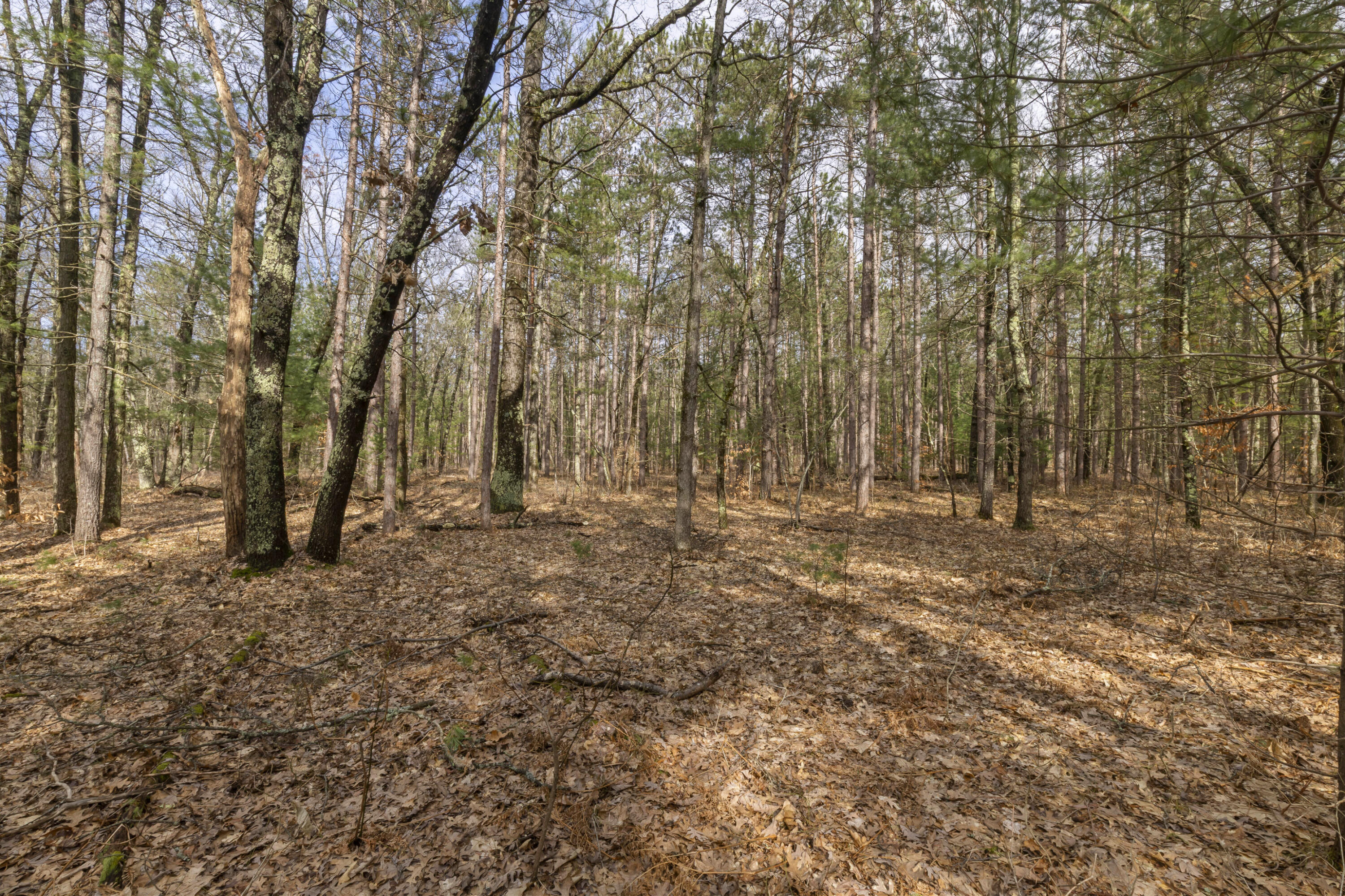 Maple Avenue Brethren, MI 49619 - Photo 9 of 11 0S5A5214