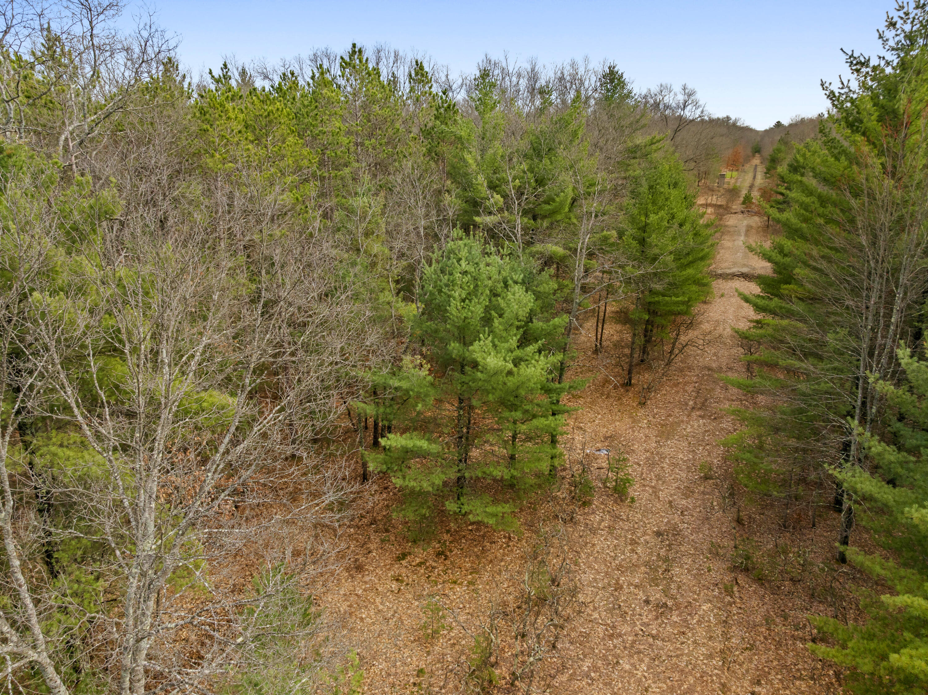 Maple Avenue Brethren, MI 49619 - Photo 10 of 11 DJI_20260416171917_0050_D
