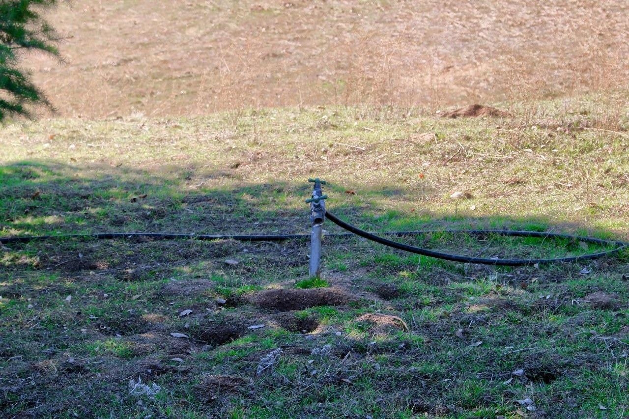 0 Old Corral Road Coarsegold, CA 93614 - Photo 15 of 23 Gallery Image 15