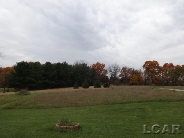 14685 Tracey Road Manchester, MI 48158 - Photo 54 of 62 31309042-53.JPG