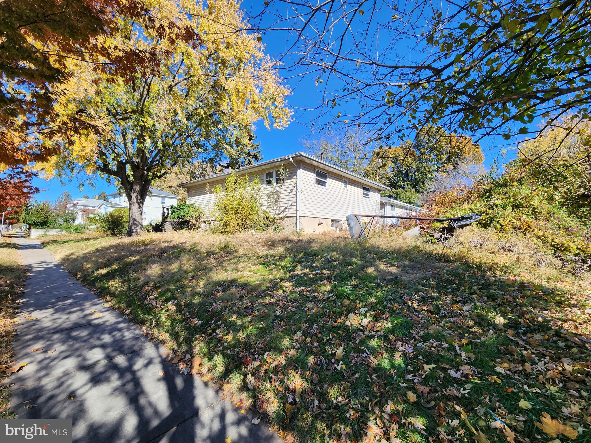 6701 Bessemer Avenue Baltimore, MD 21222 - Photo 14 of 16 a view of a yard with plants and trees