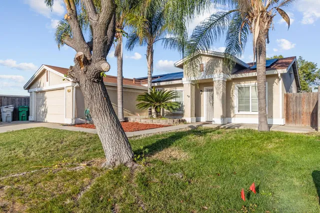 a view of a house with a small yard and a palm tree