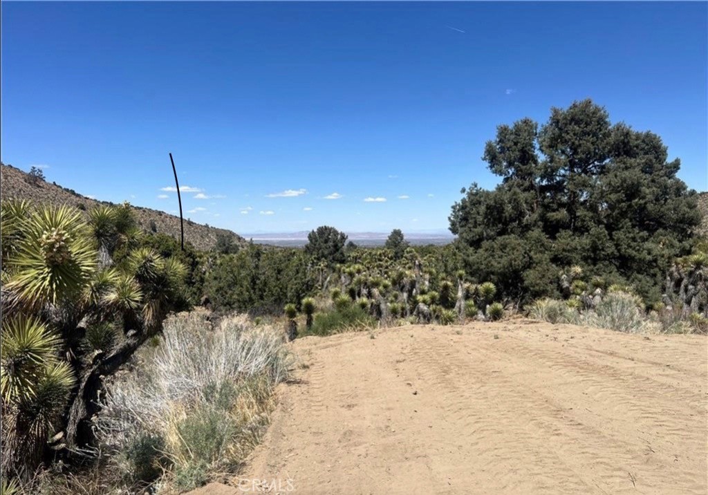 a view of a snow on the road