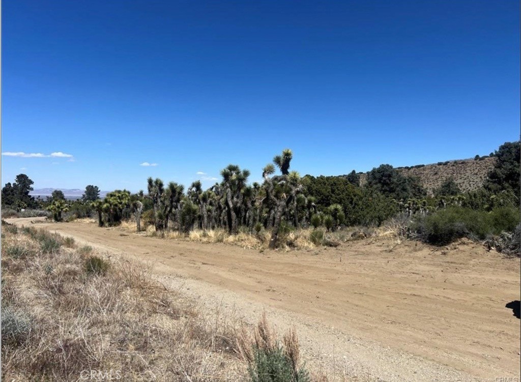0 Evergreen Road Pinon Hills, CA 92372 - Photo 3 of 8 a view of a road with a house in the background