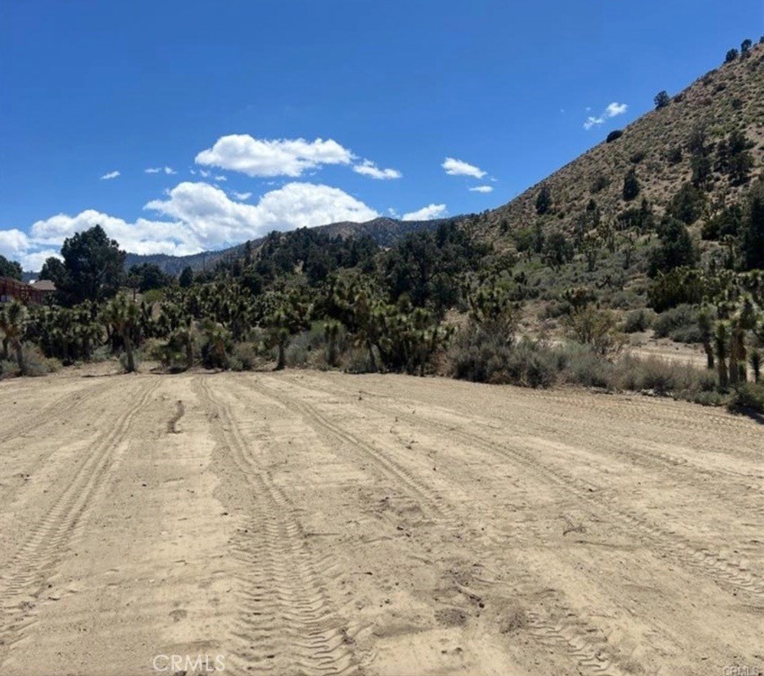 0 Evergreen Road Pinon Hills, CA 92372 - Photo 5 of 8 a view of a dry yard