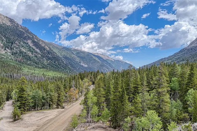 a view of a bunch of trees