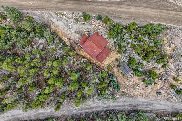 a view of a yard with plants