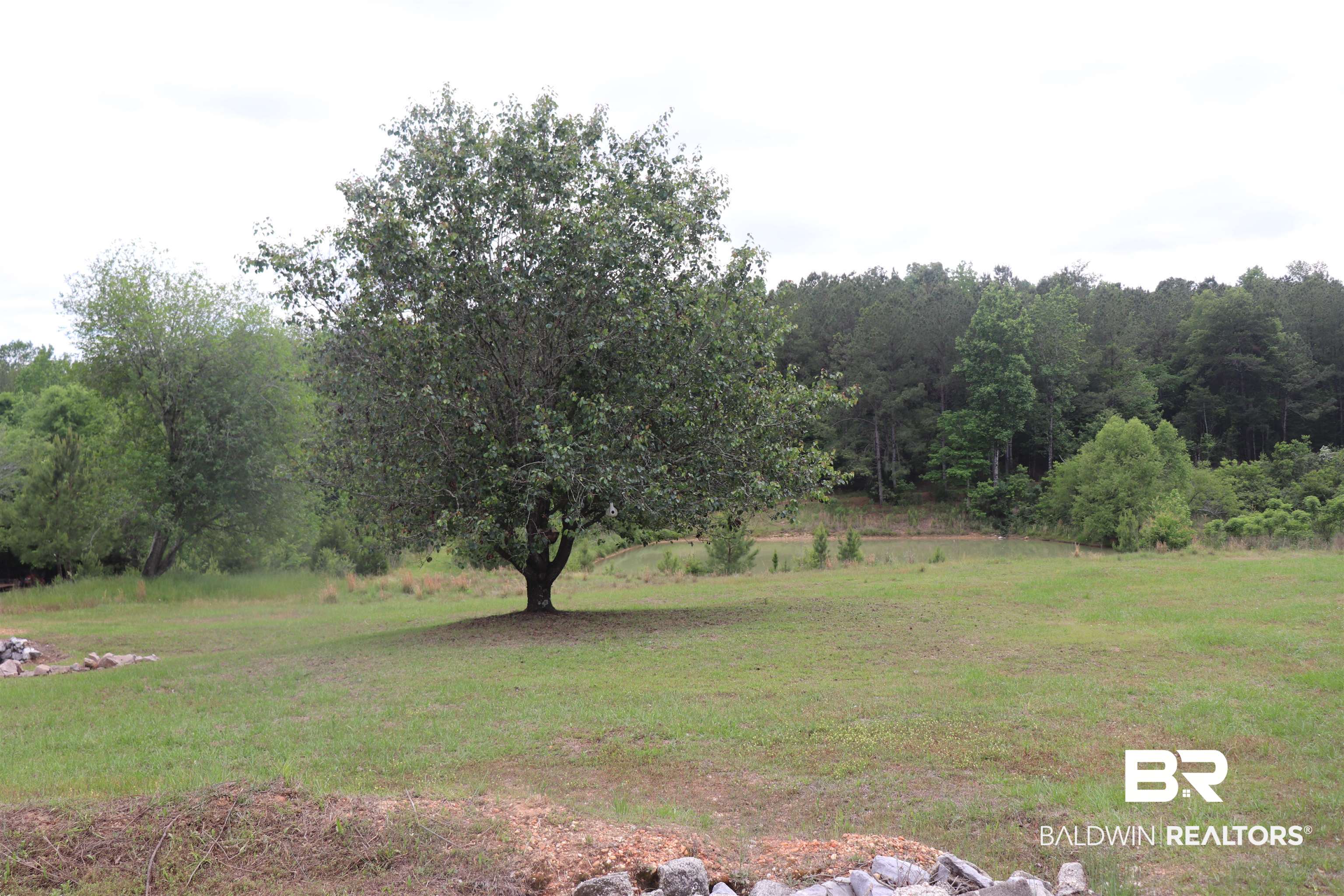 400 Godwin Drive Monroeville, AL 36460 - Photo 24 of 28