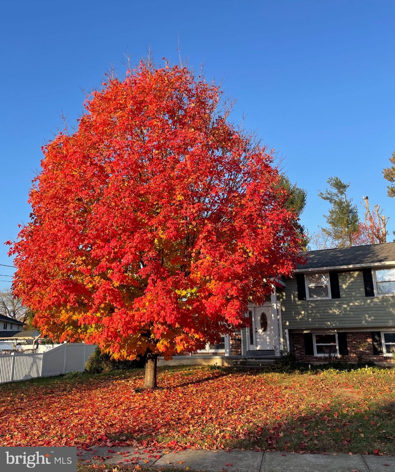 Like this? Wait till you see the new photos