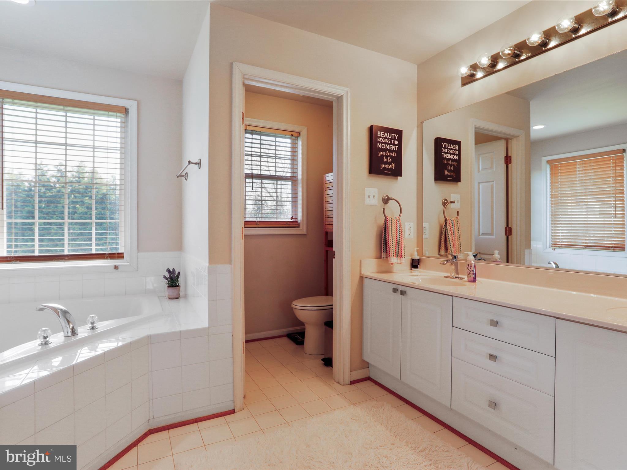 306 Landis Road Hagerstown, MD 21740 - Photo 29 of 53 Owners private bathroom