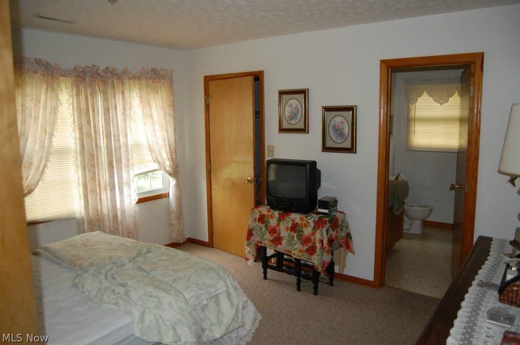 624 Lake Road Middle Bass, OH 43446 - Photo 13 of 23 Gallery Image 13