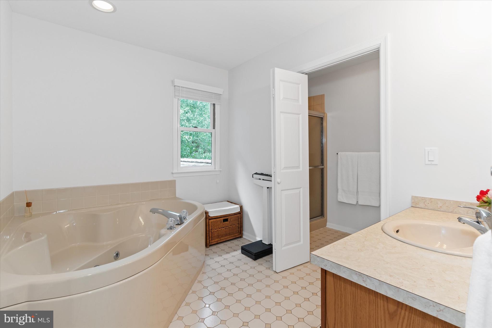 216 South Pond Road Hockessin, DE 19707 - Photo 34 of 61 a bathroom with a tub sink and a mirror