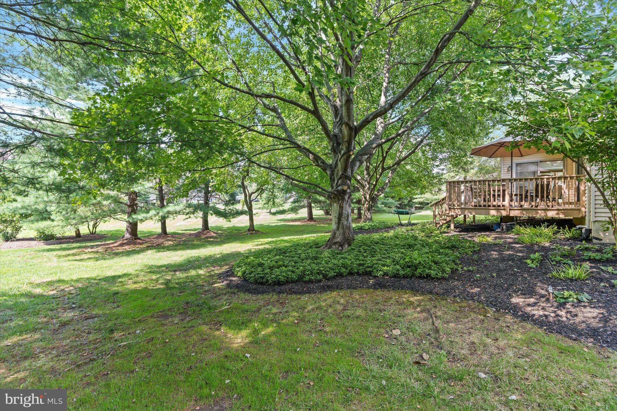 216 South Pond Road Hockessin, DE 19707 - Photo 45 of 61 Side Yard View Looking Toward Main Deck