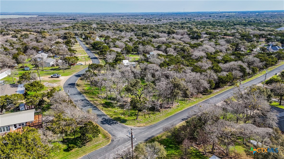 14909 Cart Road Temple, TX 76502 - Photo 10 of 17 a view of a forest with a lake
