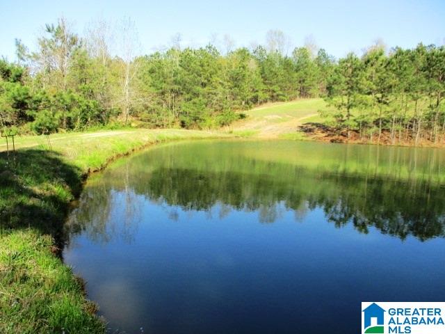 6971 Highway 24 Oneonta, AL 35121 - Photo 39 of 45