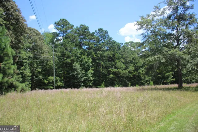 a view of a yard with a tree