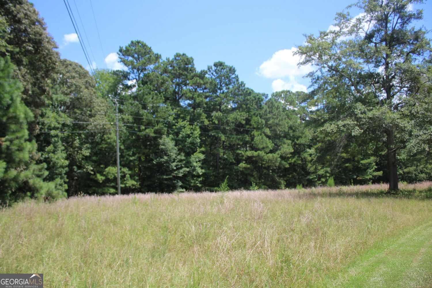 255 Barnett Road Hampton, GA 30228 - Photo 29 of 42 a view of a yard with a tree