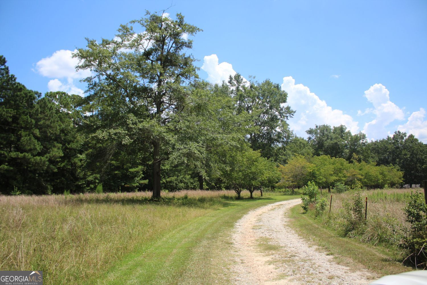 255 Barnett Road Hampton, GA 30228 - Photo 30 of 42 a view of a lake