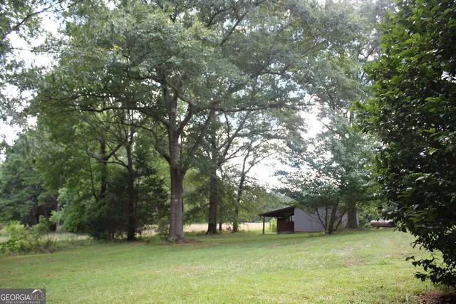 a view of a tree in front of a house