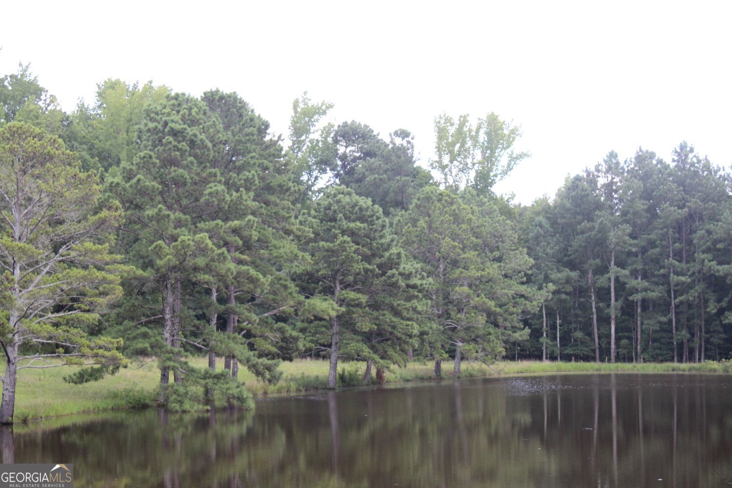255 Barnett Road Hampton, GA 30228 - Photo 34 of 42 a view of a lake with trees